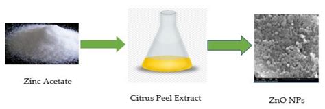 Green Synthesis Of Zinc Oxide Nanoparticles Using Sea Off