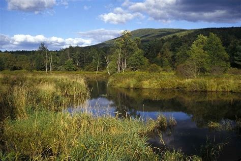 Free Picture Wetland Scene Nature Mountains