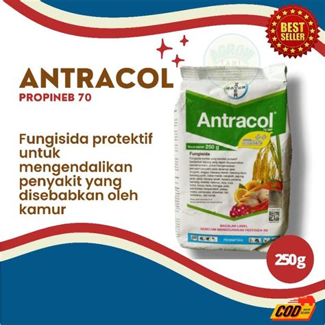 Jual Fungisida Antracol Wp G Zinc Propineb Shopee Indonesia