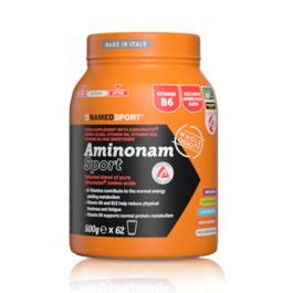 NAMED Sport AminoNam Polvere 500 G