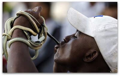 Cantinho Da Brisa Homem Engole Cobras Vivas Em Show De Rua Em Madagascar