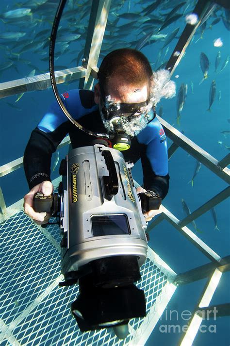 Diver Filming From A Shark Cage Photograph By Scubazooscience Photo