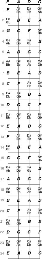 Printable Bass Fretboard Diagram