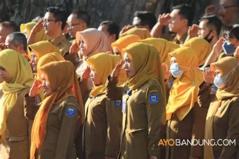 Golongan Jadi Prioritas Casn Honorer Yang Lolos Pppk Bakal