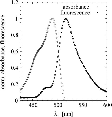 Normalized Absorption And Fluorescence Spectrum Of A Labelled Polymer