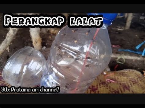 PENGETAHUAN ARI Eps 06 MEMBUAT PERANGKAP LALAT DENGAN BOTOL MINERAL