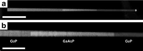 ZnOCNT Hybrid Nanostructures From DNA Sequence Dependent Catalyst