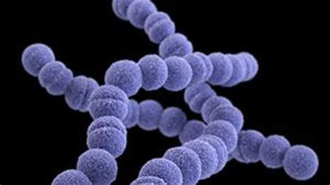 What is Invasive Group A Strep and Why Should I be Concerned?