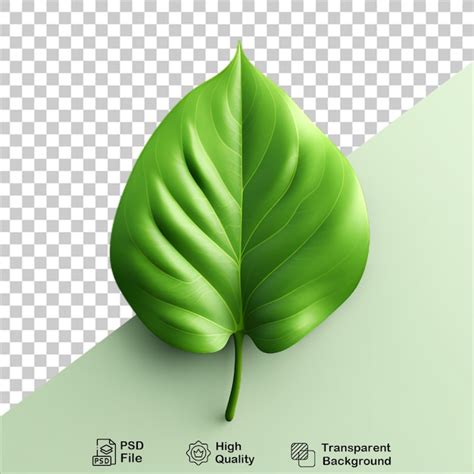 Folhas Verdes Planta Arbusto Floral Isolado Em Fundo Transparente Psd