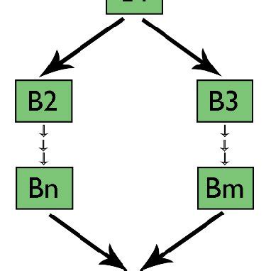 -CFG with Multiple Branches | Download Scientific Diagram