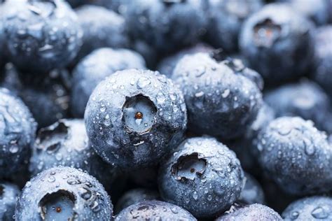 Heidelbeeren So Schlank Und Gesund Machen Blaubeeren