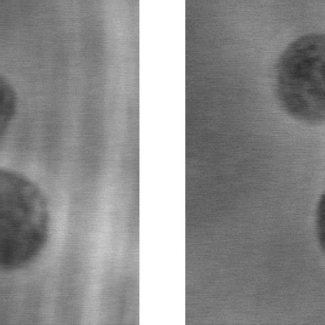 Design Of Microfluidic Chips For The Exposure Of Guvs To Different