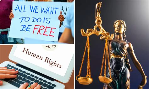 Basic Human Rights You Need To Know And Defend Lumina Homes