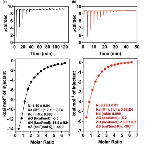 Isothermal Titration Calorimetry Itc Reveals The P Asn Ser Variant