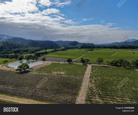 Aerial View Vineyard Image And Photo Free Trial Bigstock