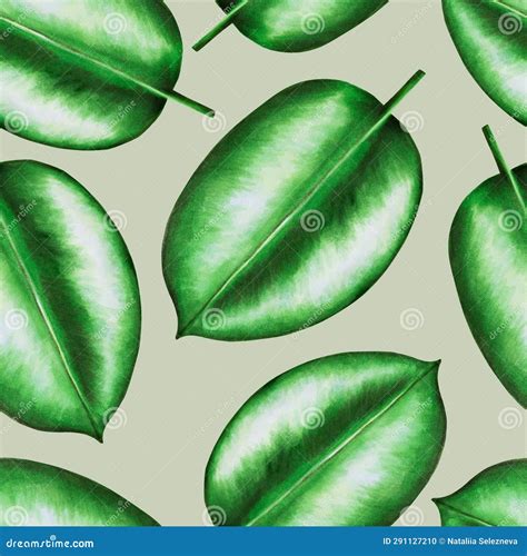 Desenho Tropical Sem Costura Realista De Aquarelas De Folha Ficus