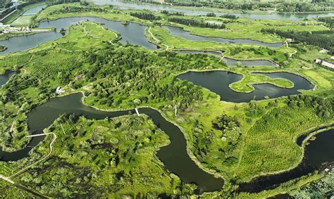 Environmental Protection Boosts Growth Of Wetland Areas In China CGTN