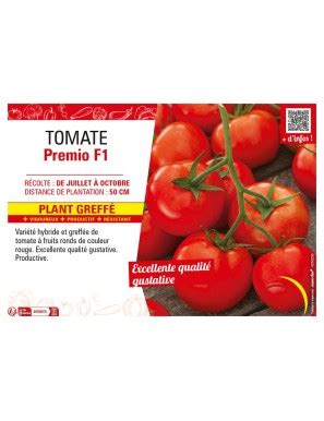 Tomate Premio F Plant Greff