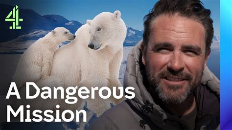 Exploring The Arctic Wilderness For Polar Bears Levison Wood Walking