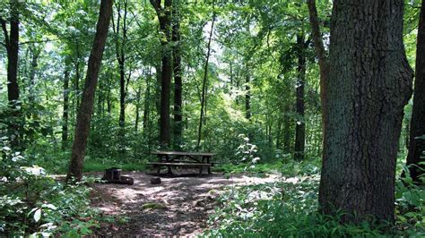 50 Photos Take Virtual Tour Of French Creek State Park