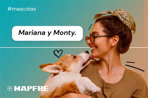 Rutina Para Tu Mascota Blog De Seguros Mapfre