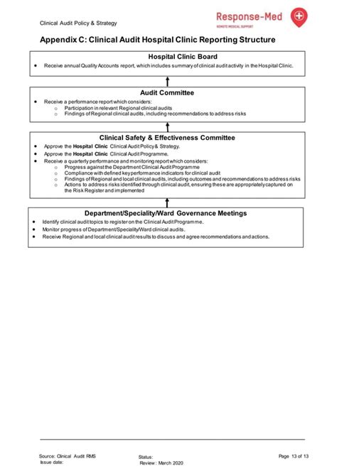 Blank Clinical Audit Report Template Pdf