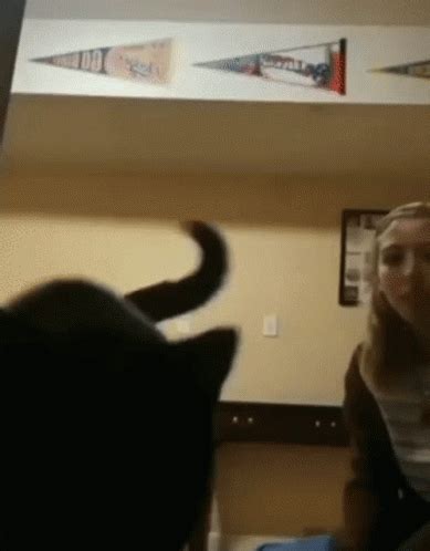 Sus Cat GIF - Sus Cat Dingus - Discover & Share GIFs