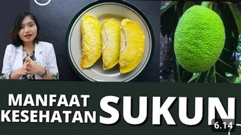 Jarang Dibahas 12 Khasiat Buah Sukun Yang Bermanfaat Untuk Kesehatan