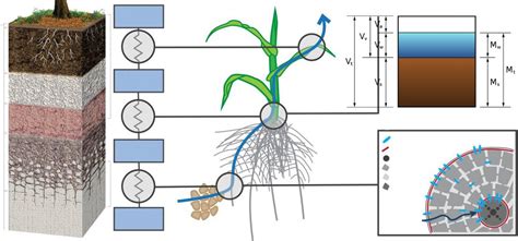 Manual de estudio y ejercicios de edafología y conceptos básicos del