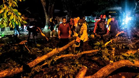 Angin Kencang Satu Pohon Tumbang Ke Badan Jalan Di Lhokseumawe