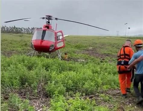 Trabalhador foi atingido por queda de árvore veja vídeo Alagoas 24