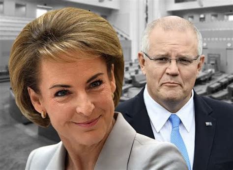 Jayjay On Twitter So Helmet Head Michaelia Cash Says That Labor Used