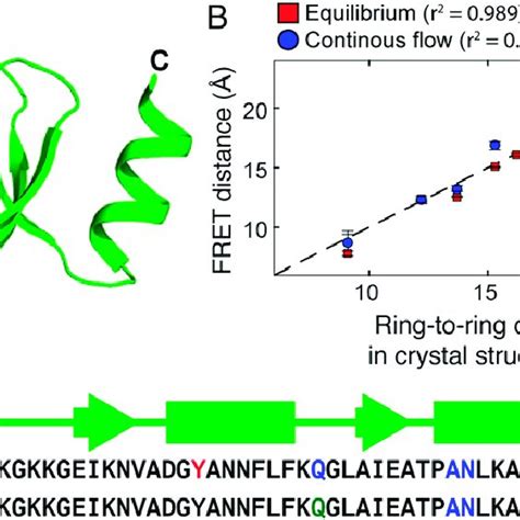 Classification of β-turns. (a) Type-I β-turn. (b) Type-II β-turn. (c ...