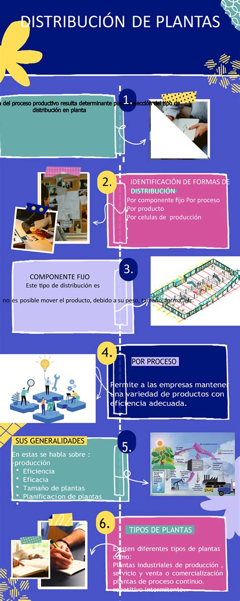 Infografia Distribuci N De Plantas Identificaci N De Formas De