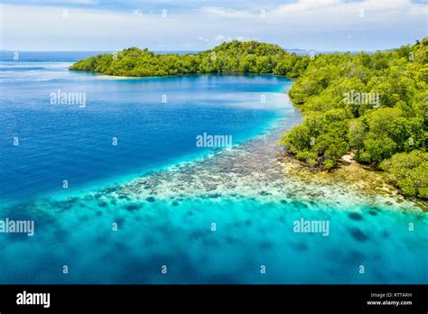 Fringing Reef