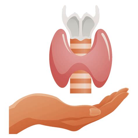 Thyroid Health 101 What You Need To Know About Thyroid Symptoms And Root