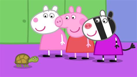 Doctor Hamster's Tortoise - Peppa Pig (Series 3, Episode 429) - Apple ...