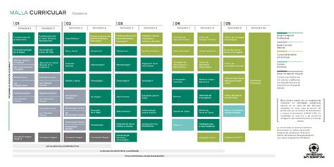 Malla Obstetricia Malla Obstetricia Uss año 01 año 02 año 03 año 04