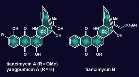天西霉素 A 和 B、杨普米星 A 和相关蒽醌融合烯二炔类抗肿瘤抗生素的全合成和生物学评价journal Of The American