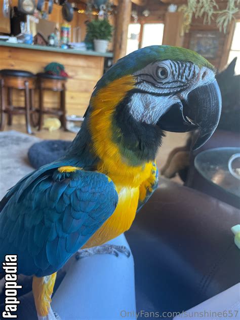 Sunshine657 Nude OnlyFans Leaks - Photo #4665372 - Fapopedia