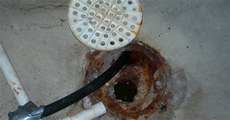 Basement Drain Clogged With Toilet Paper - Openbasement