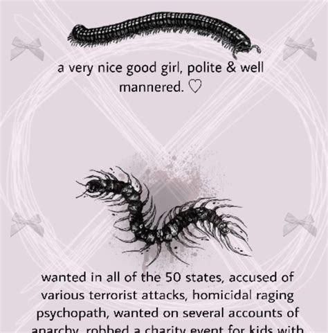 Millipedes Vs Centipedes ♡ Cool Bugs Really Funny Relatable