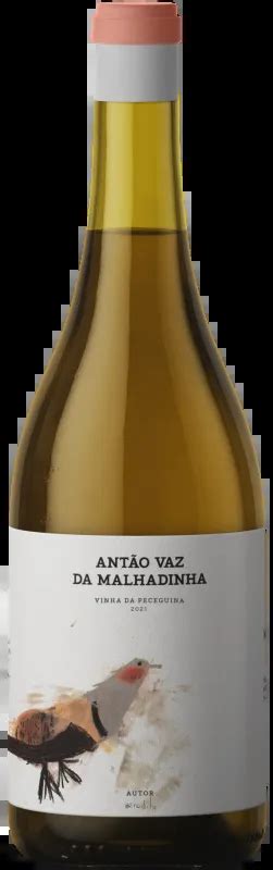 Vinho Branco Antao Vaz Da Malhadinha Vinha Da Peceguina Bio Cl