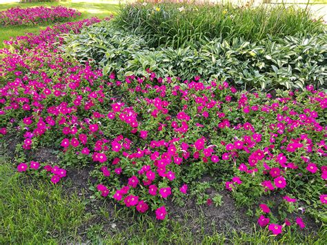 Смартфон Honor 8