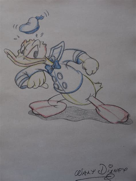 Vintage Cartoon Walt Disney Donal Duck Study, Drawing - Etsy Australia