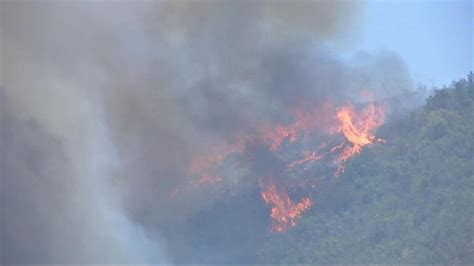 Balance Onemi Más De 8 Mil Hectáreas Arrasadas Por El Fuego