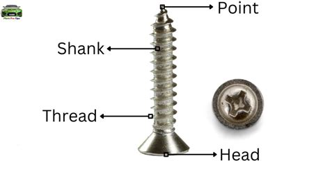 What Size Of Screw For License Plate