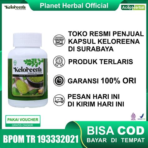 Jual Keloreena Kapsul Daun Kelor Ekstrak Moringa Oleifera Asli 100