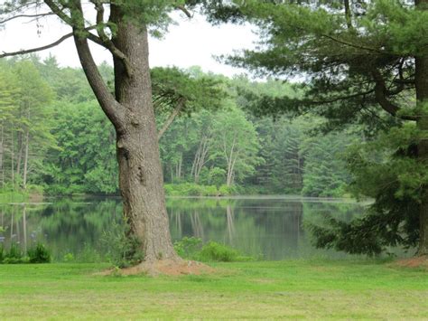 Naturefied: The Poconos Birding Adventure Part 2