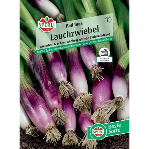 Sperli Lauchzwiebel Red Toga Allium Fistulosum Kaufen Bei Obi